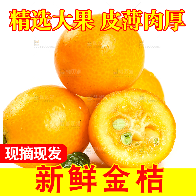 融安小金桔摆放在白底上
