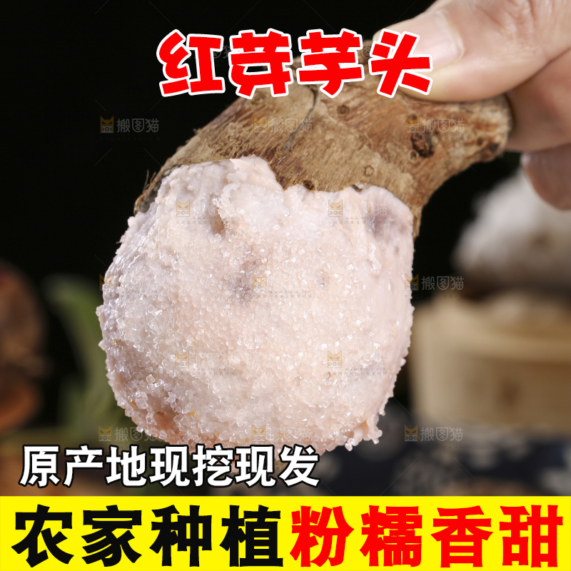 手里拿着小芋头