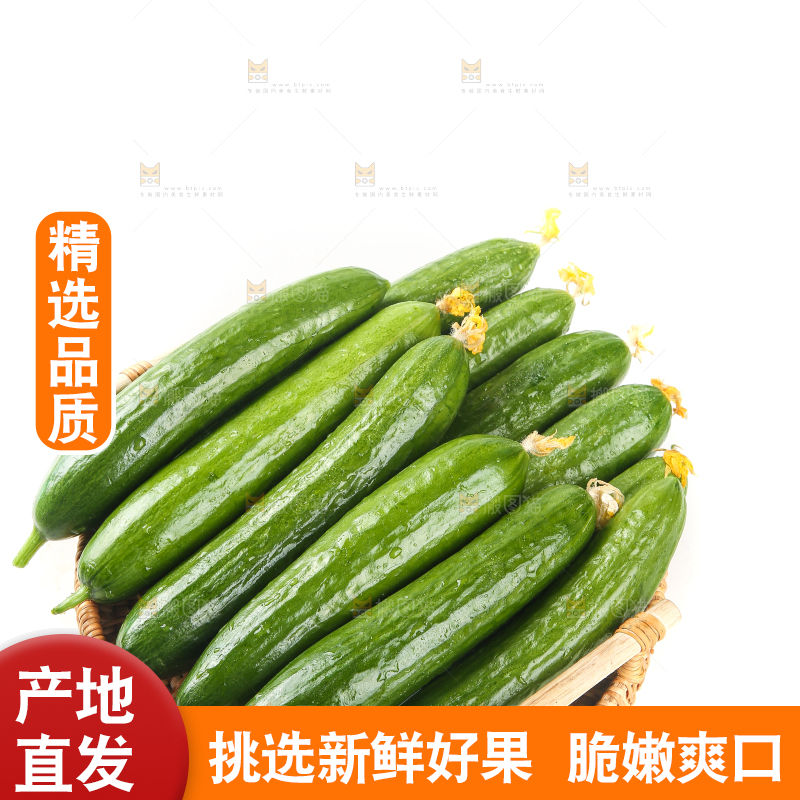 篮子里的无刺黄瓜