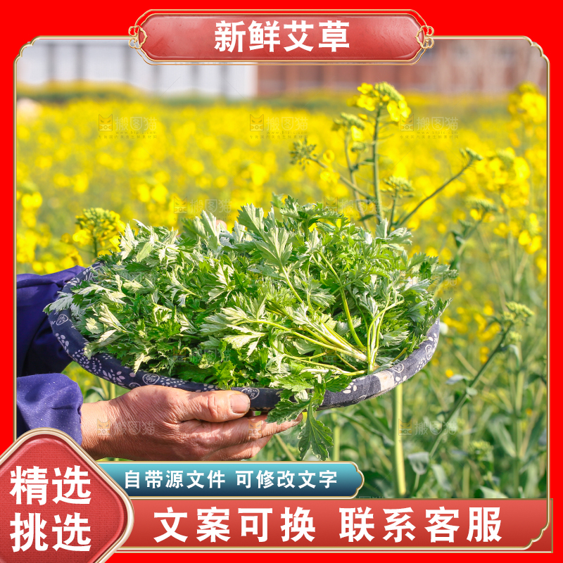 手里端着一篮艾叶