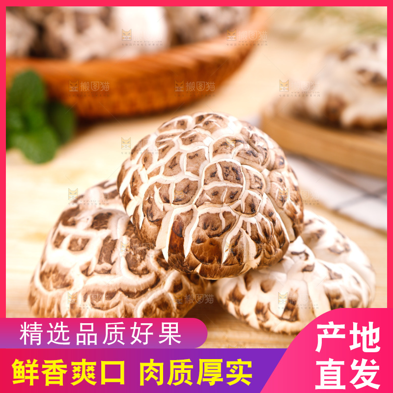 木底上摆放着椴木花菇