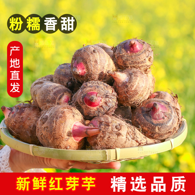 一篮红芽小芋头