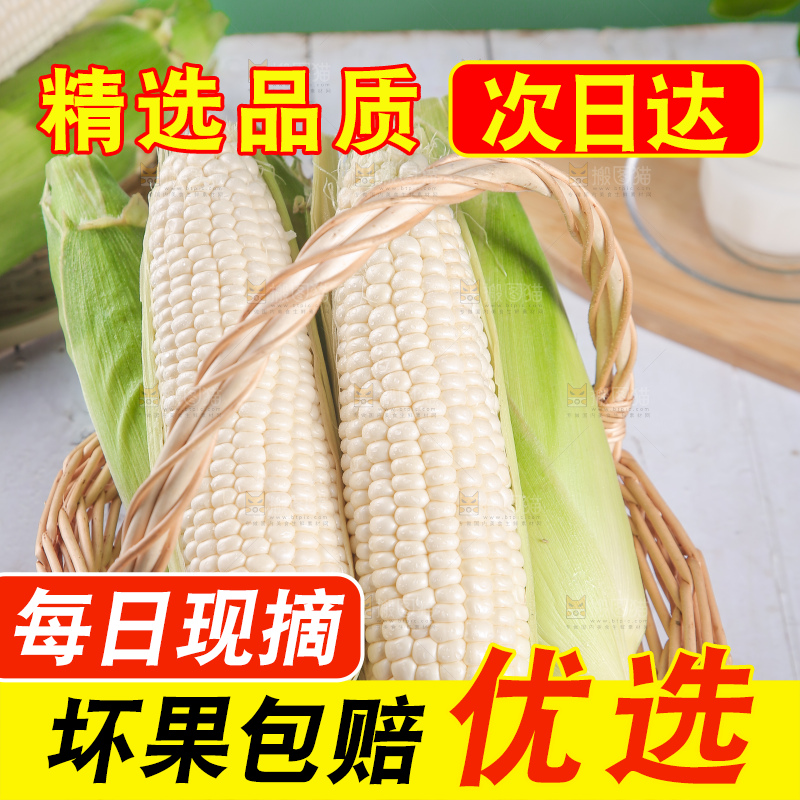 一篮新鲜白糯玉米