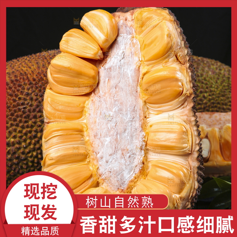 黑底上放着红肉菠萝蜜