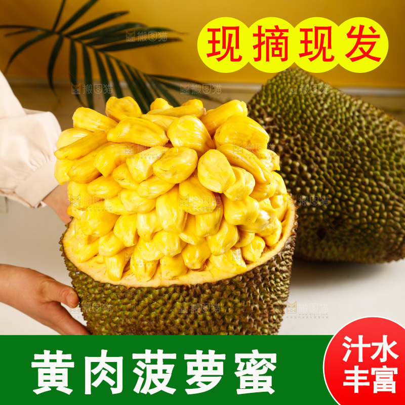 桌子上摆放着黄心菠萝蜜