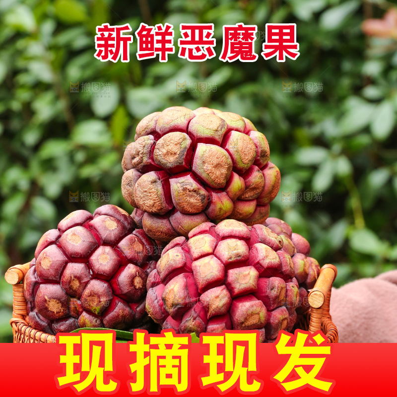 手里端着一篮福娜果黑老虎