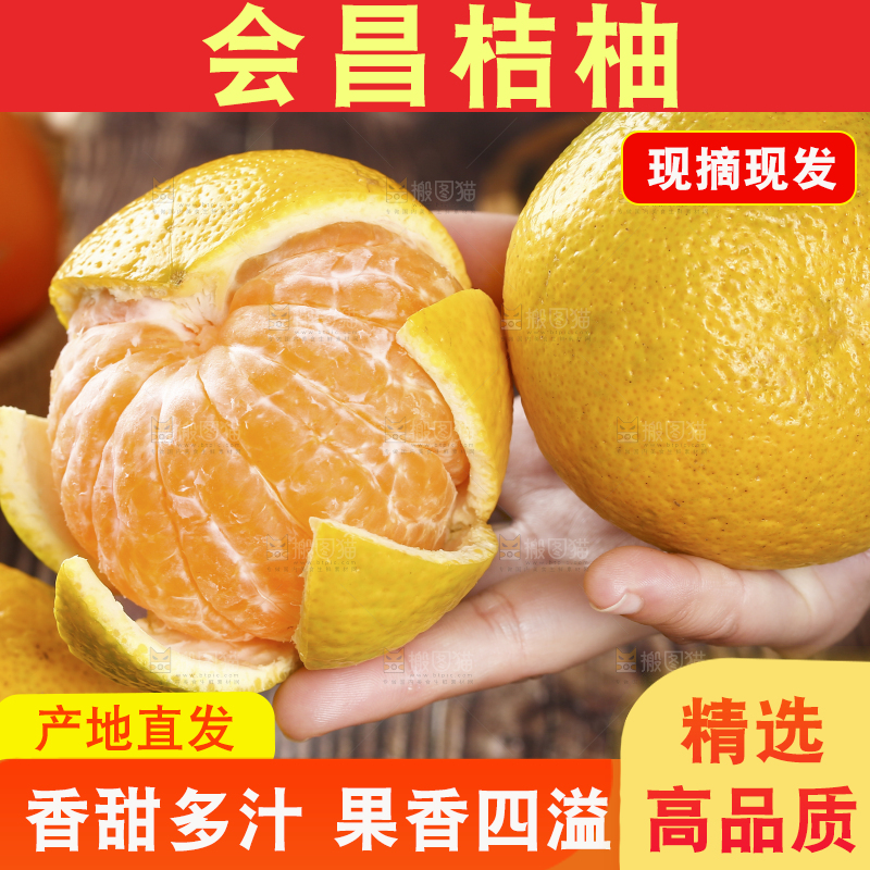 手里捧着橘柚