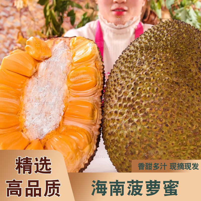 菠萝蜜对比图
