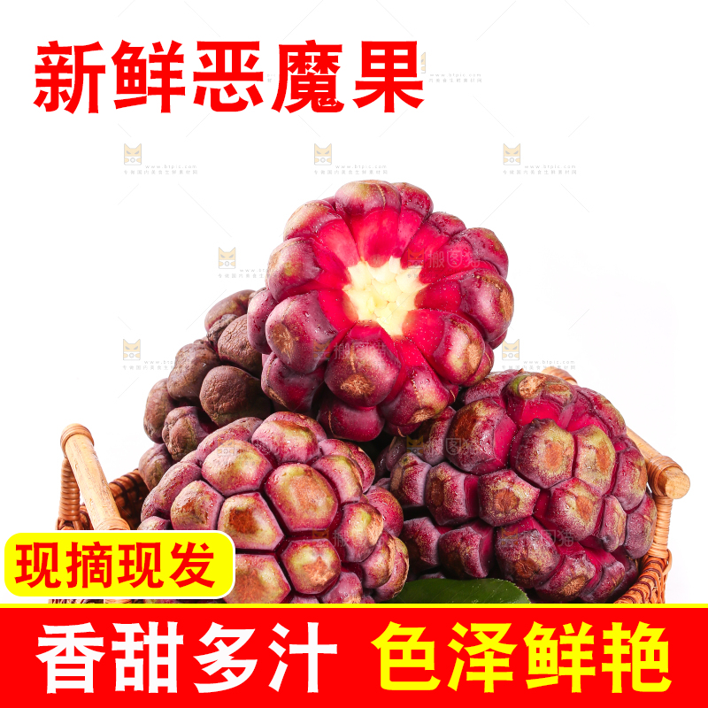 一篮新鲜黑老虎