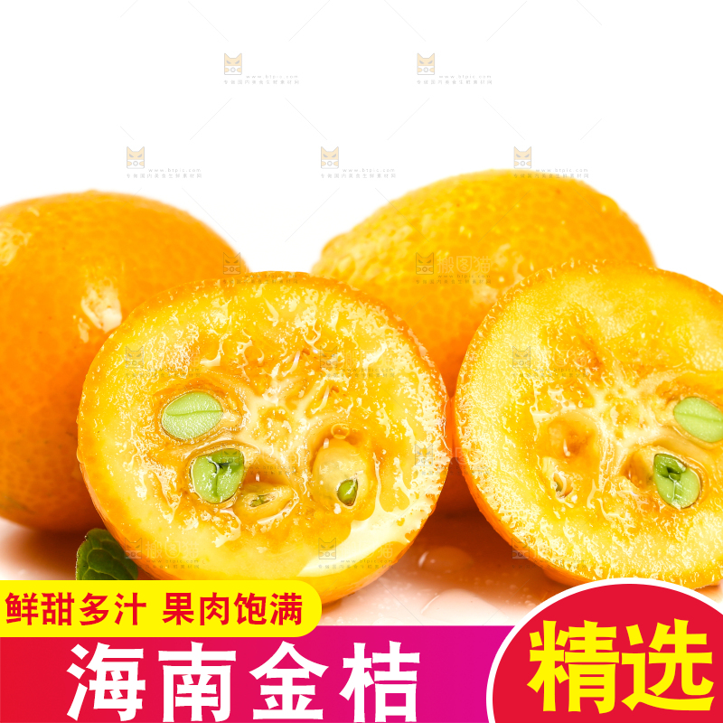 融安小金桔摆放在白底上