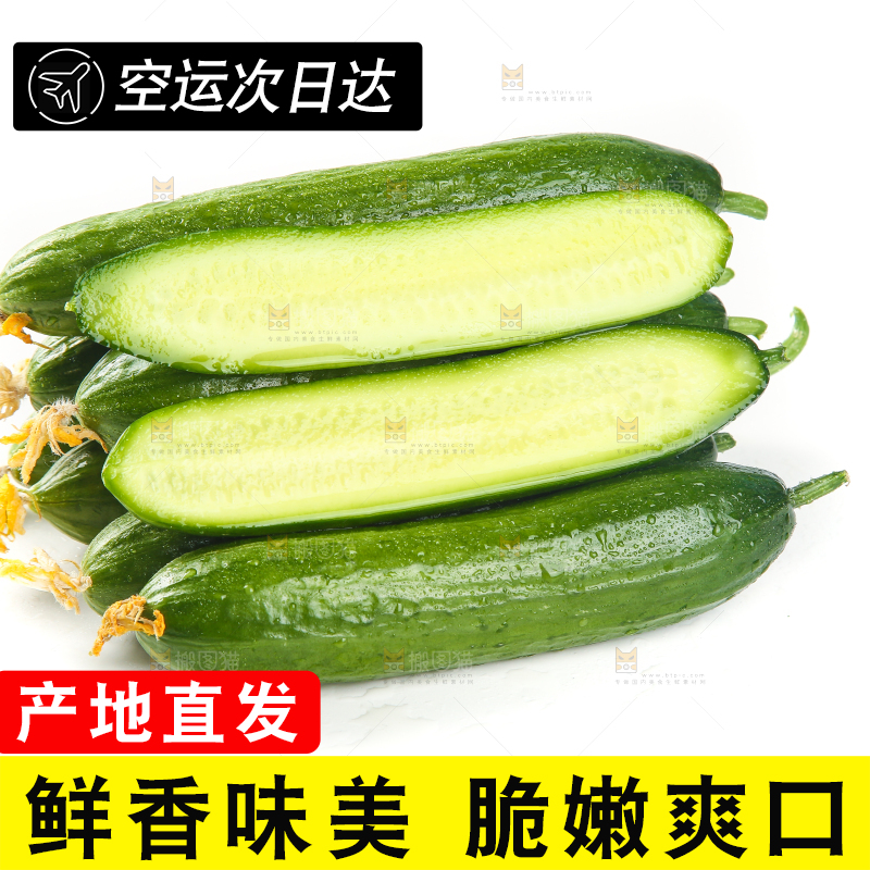 白底上放着一堆山东水果黄瓜