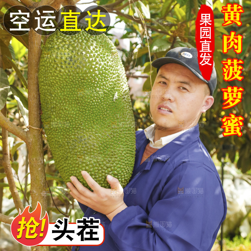 手里抱着海南菠萝蜜