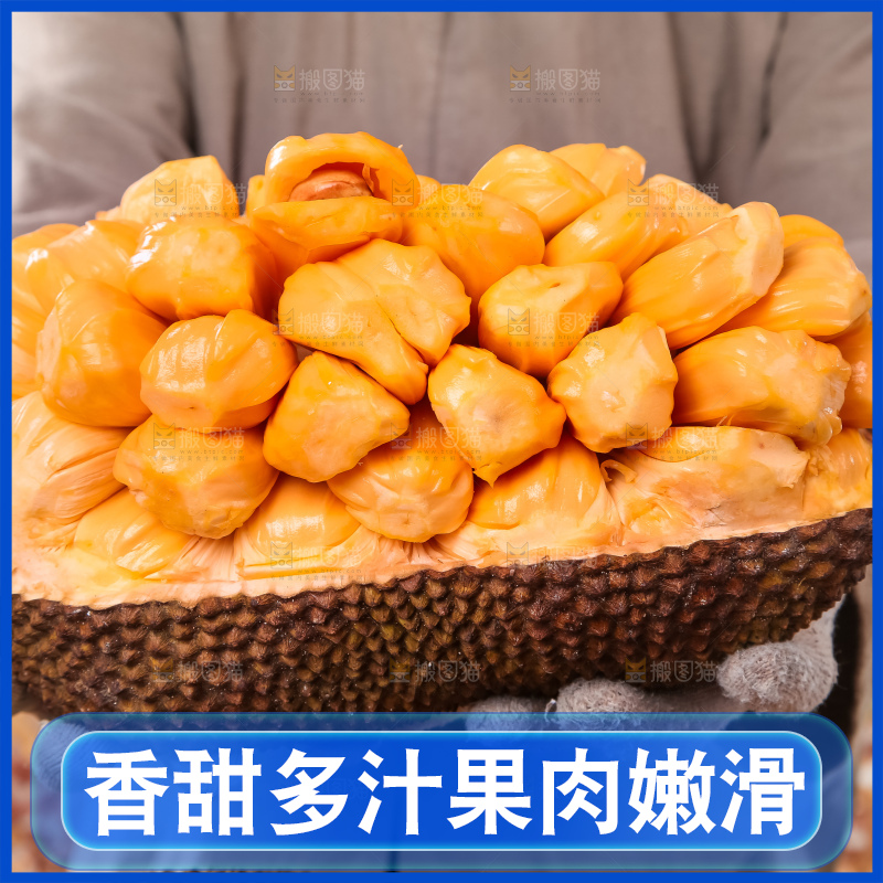 手里捧着红肉菠萝蜜