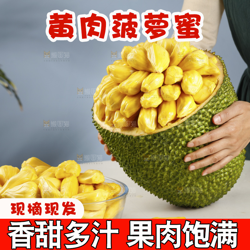 桌子上放着海南黄肉菠萝蜜