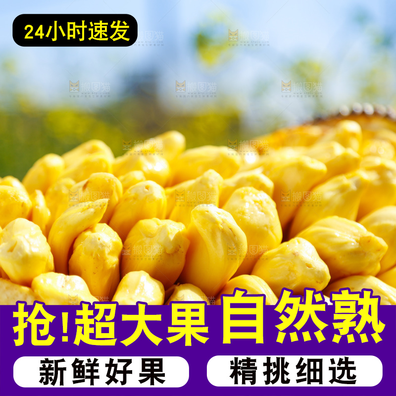 新鲜黄肉菠萝蜜