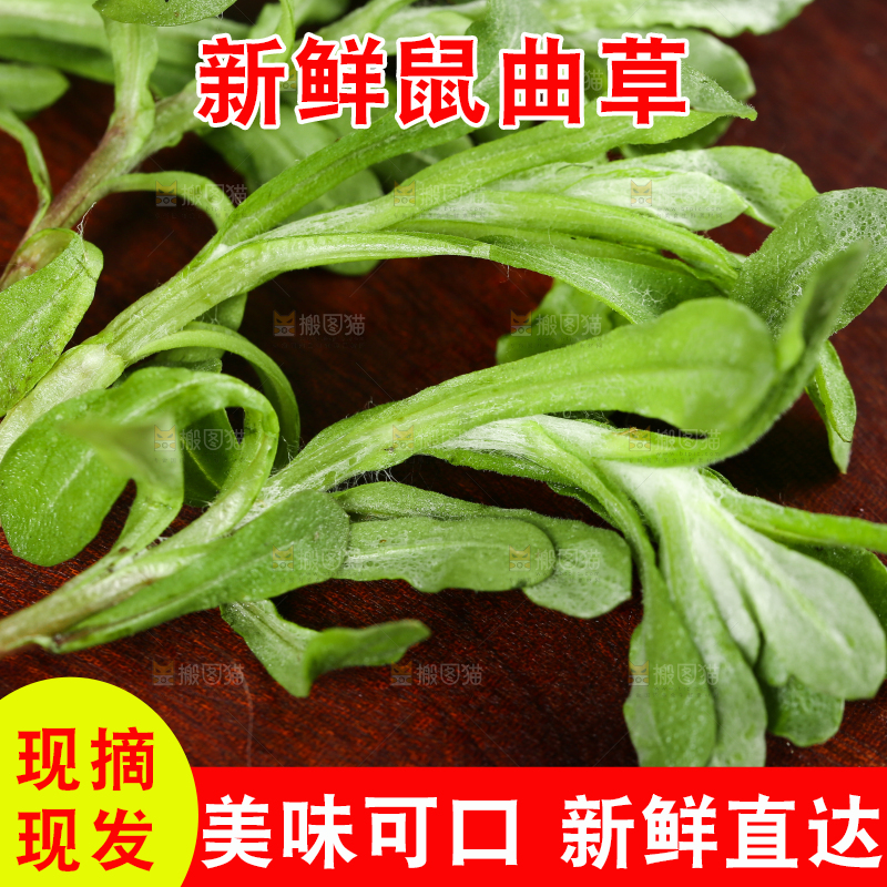 木底上的清明菜