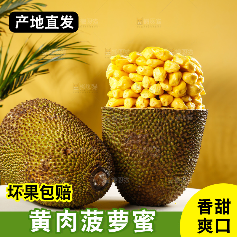 桌子上摆放着黄心菠萝蜜