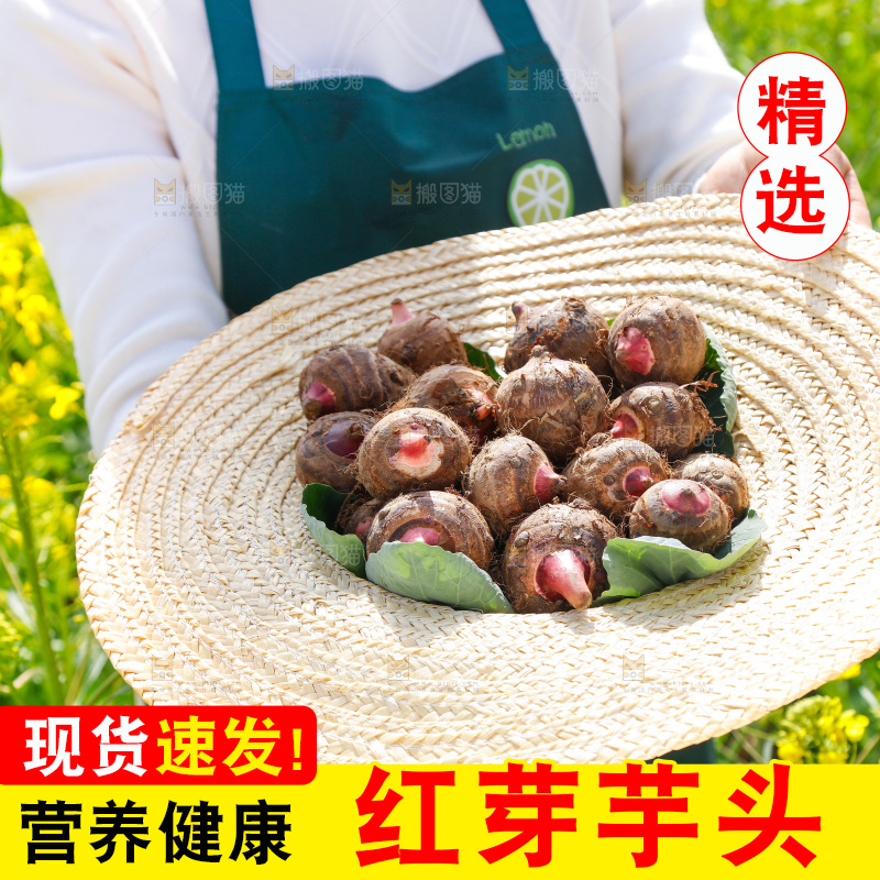 草帽里的小芋头