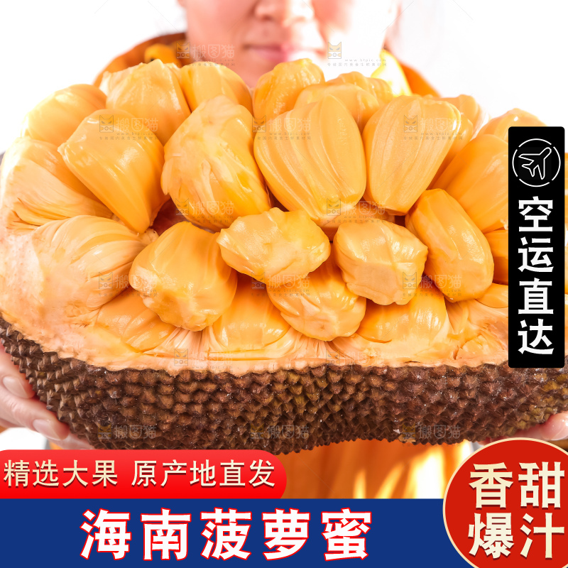 手里捧着红肉菠萝蜜