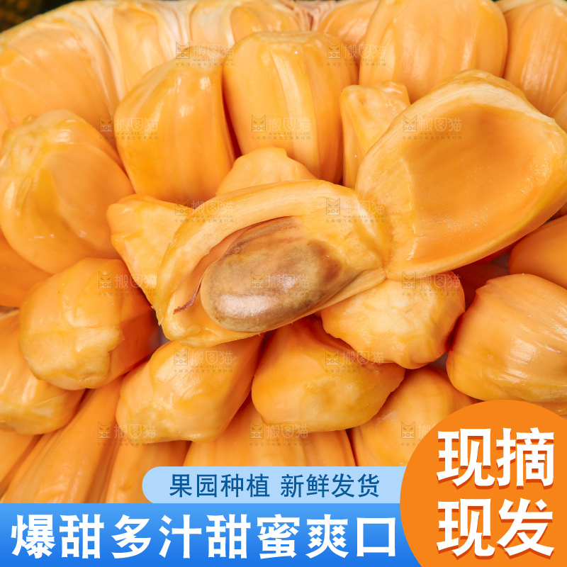 新鲜红肉菠萝蜜果肉
