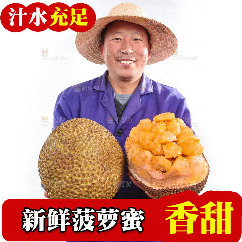 农民手里捧着菠萝蜜和菠萝蜜果肉对比