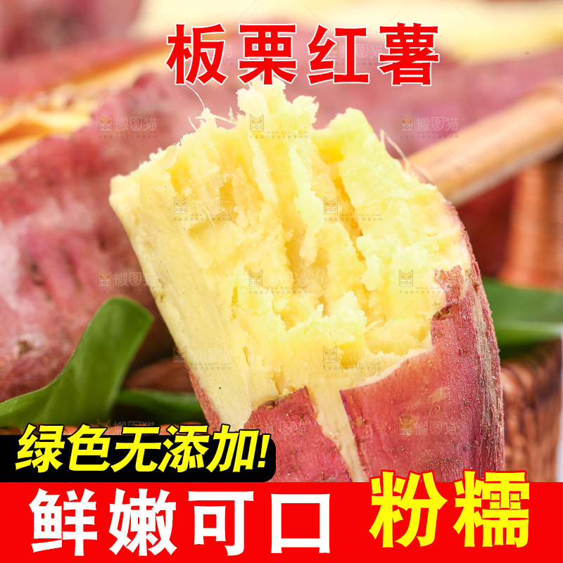 蒸熟的黄心板栗薯