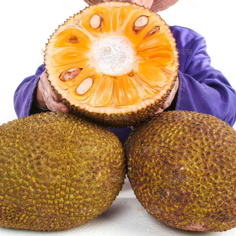 手里抱着半边泰国菠萝蜜