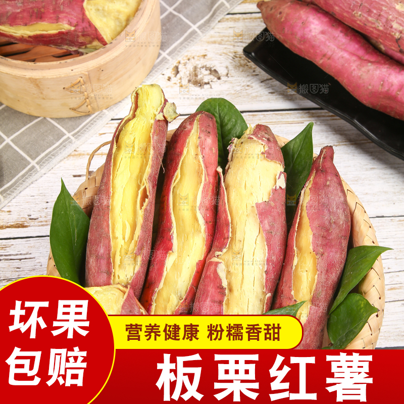 板栗薯