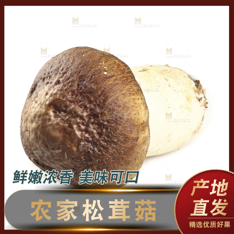 白底上放着松茸菇