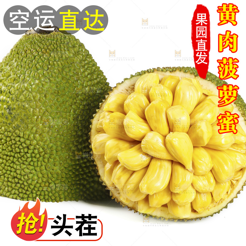 白底上放着黄肉菠萝蜜