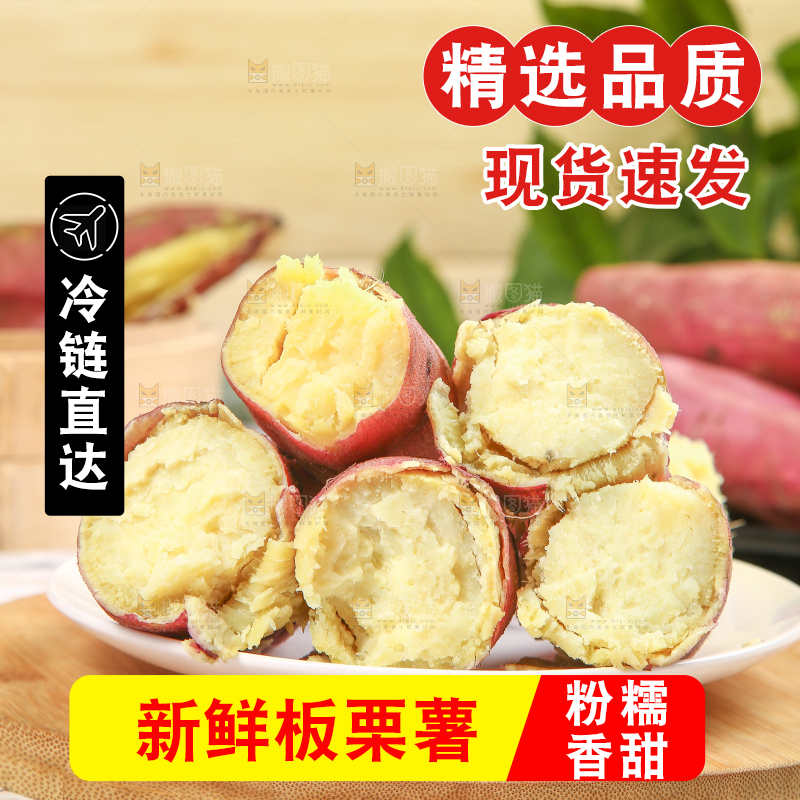 板栗薯