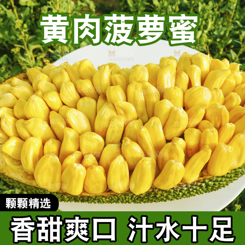 桌子上放着黄肉菠萝蜜