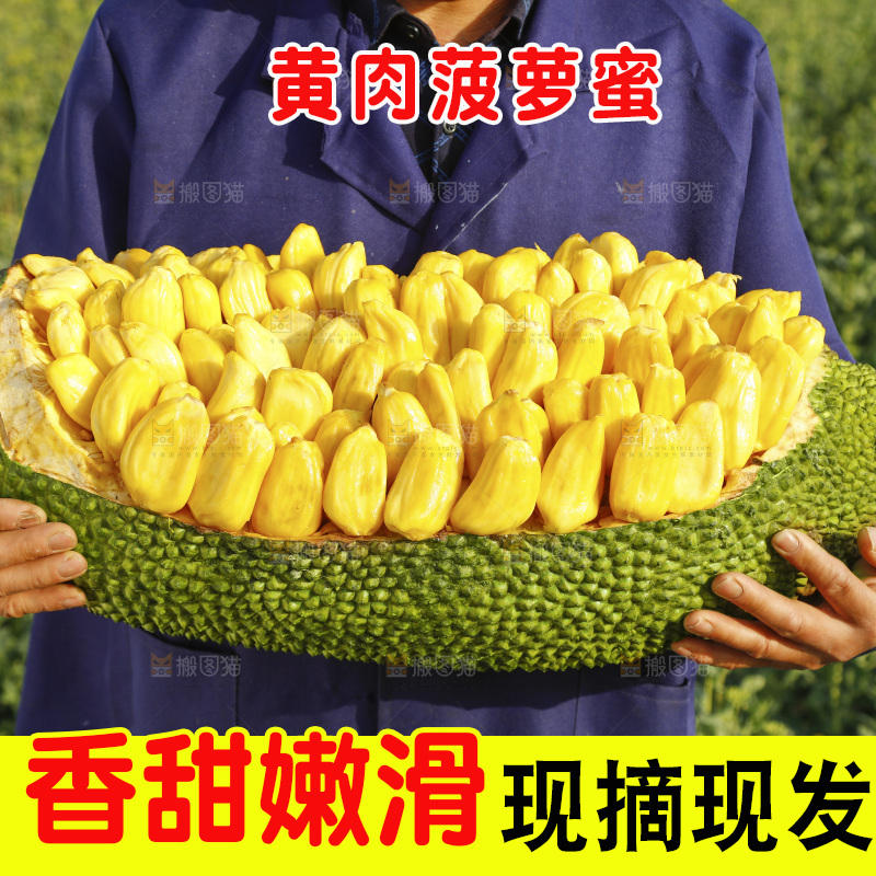 手里抱着黄心菠萝蜜