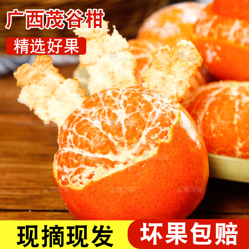 木底上的柑橘