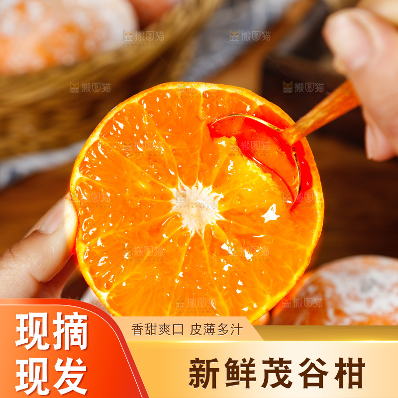勺子上舀着茂谷柑果肉