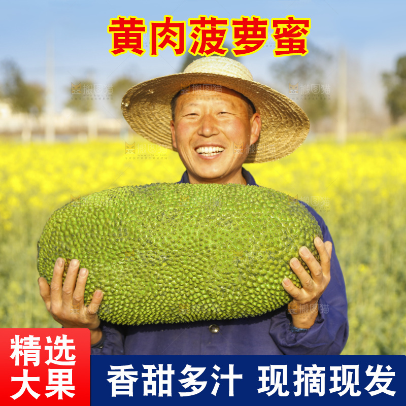 手里抱着海南菠萝蜜