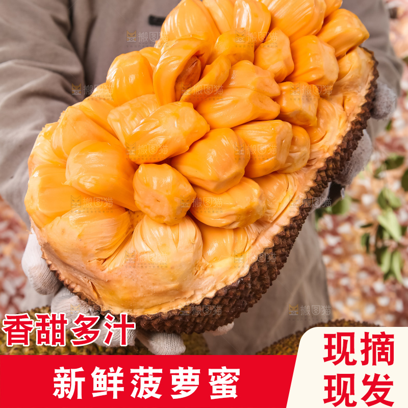 手里捧着红肉菠萝蜜