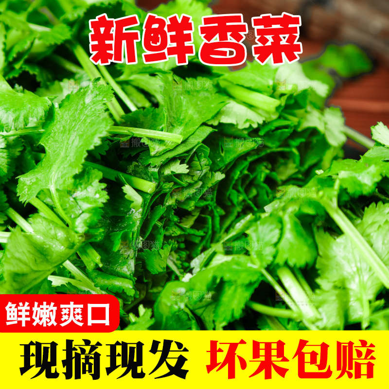 黑石板上切开的香菜