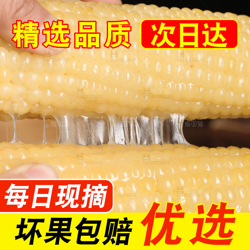 手里拿着甜糯玉米