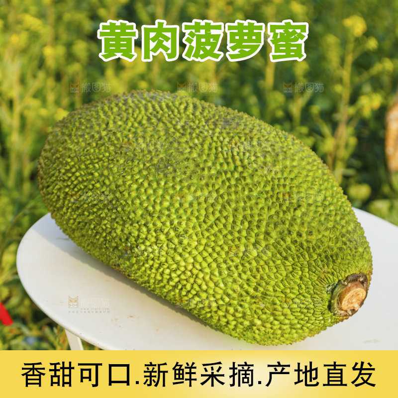 桌子上放着菠萝蜜