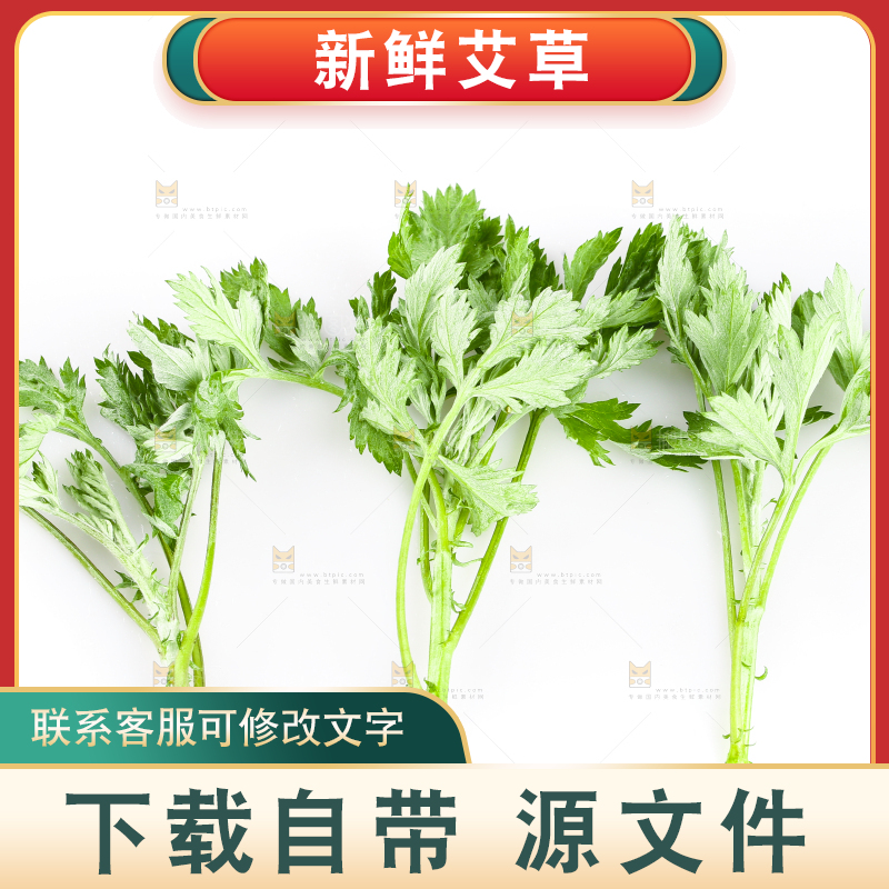 白底上放着艾草叶