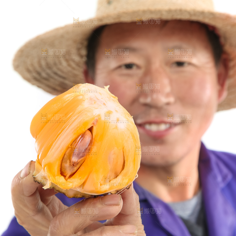 手里拿着红肉菠萝蜜