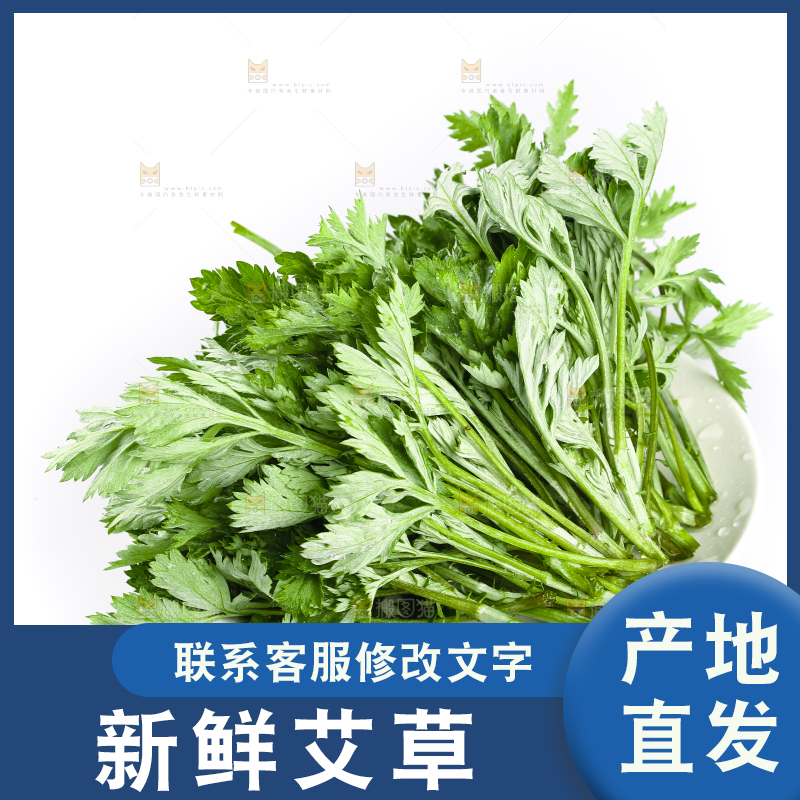 一盘嫩艾草摆放在白底上
