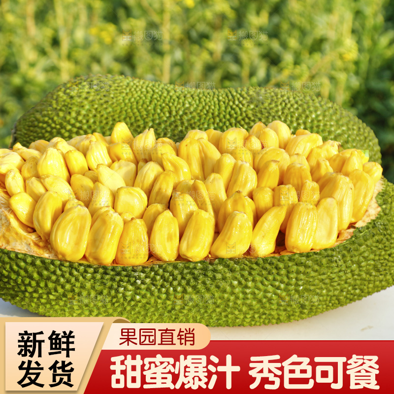 桌子上放着黄肉菠萝蜜