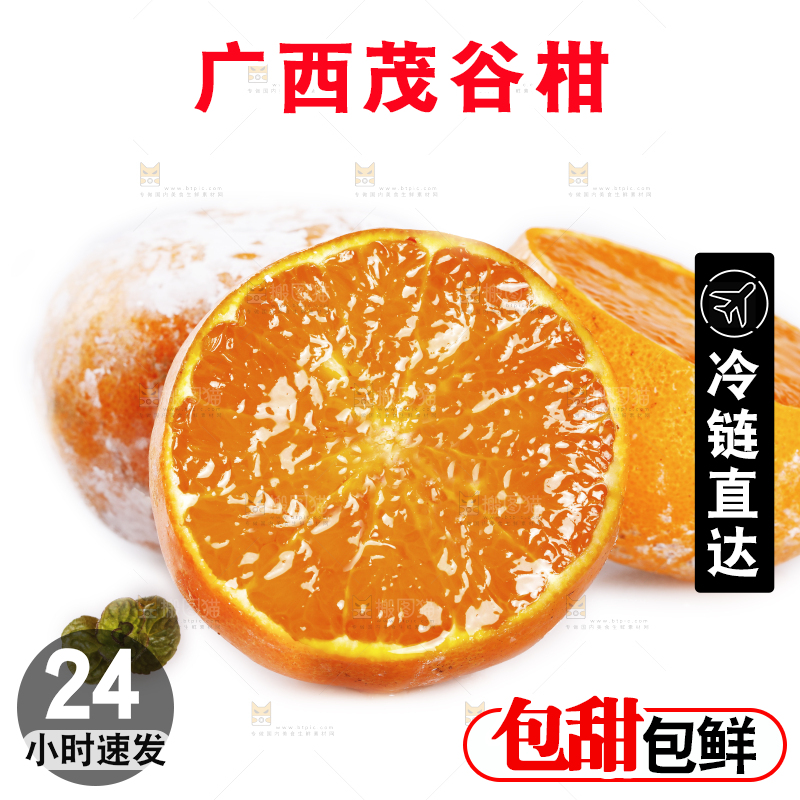 武鸣茂谷柑摆放在白底上