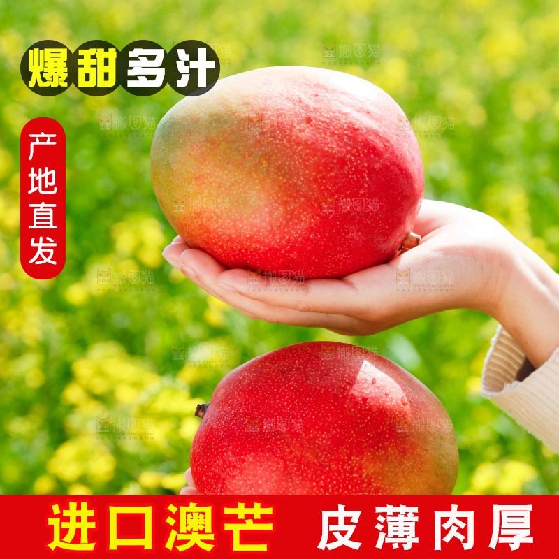 手里拿着澳芒