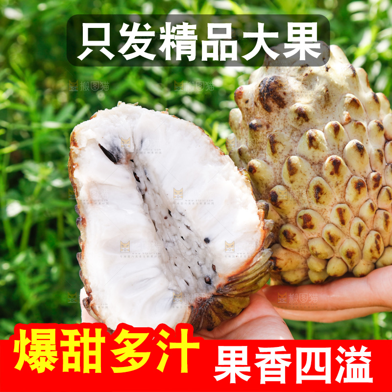 手里拿着释迦果