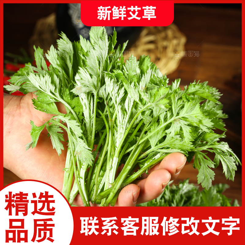 手里拿着艾蒿草