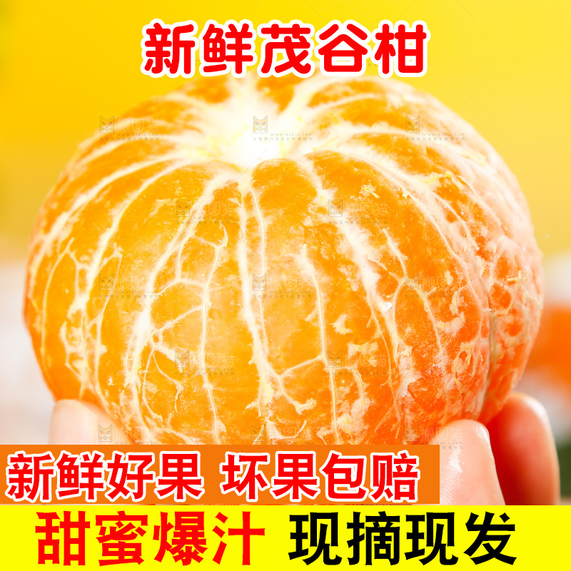 手里拿着茂谷柑果肉