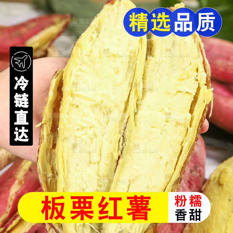 板栗薯